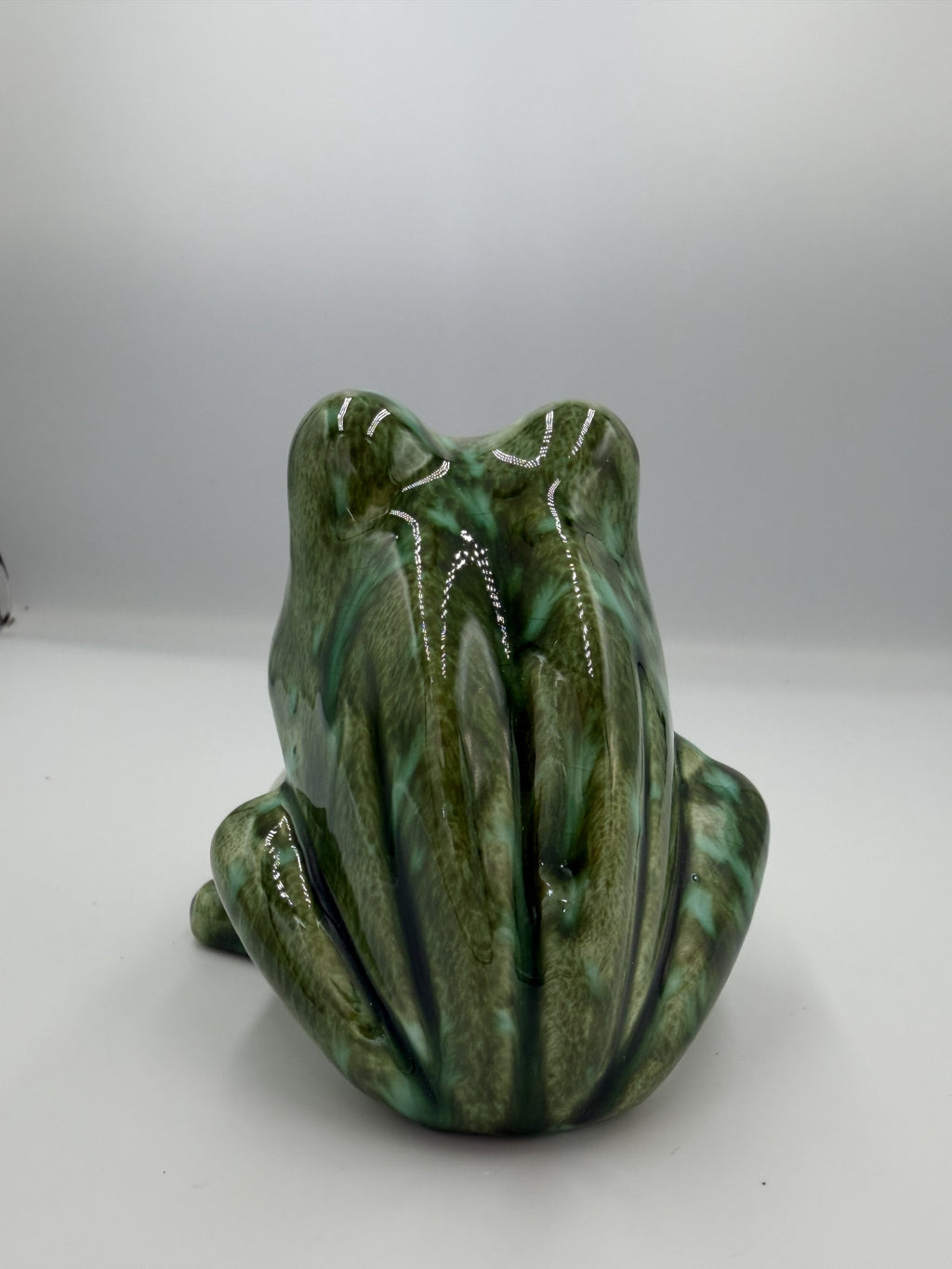 Back view of green ceramic frog scrubby holder with ribbed back