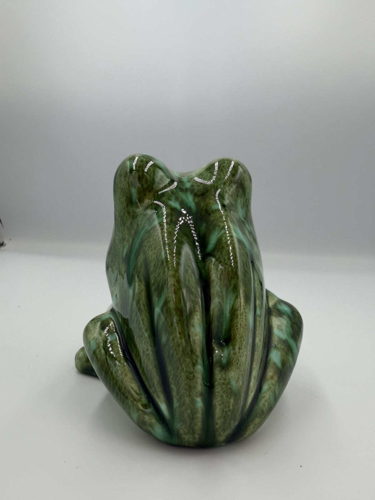 Back view of green ceramic frog scrubby holder with ribbed back