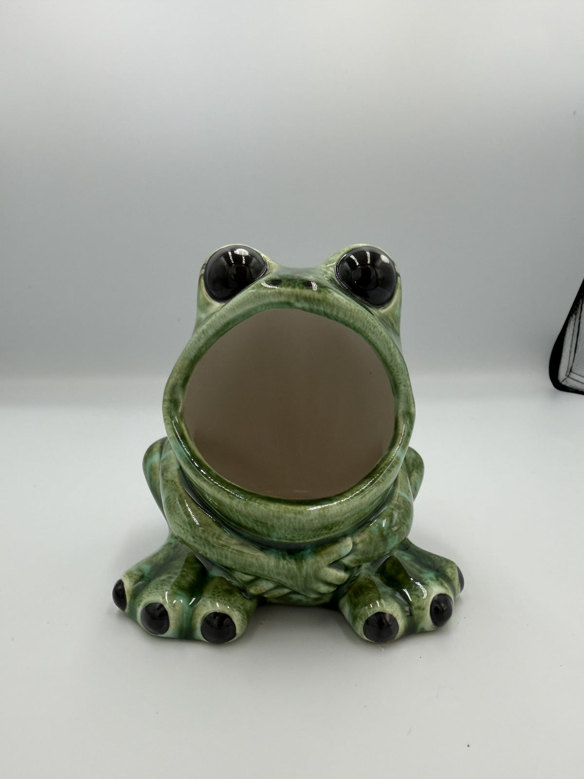 Front view of green ceramic frog scrubby holder with open mouth and big black eyes