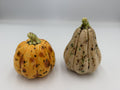 Speckled ceramic pumpkin and gourd salt and pepper shakers with green stems