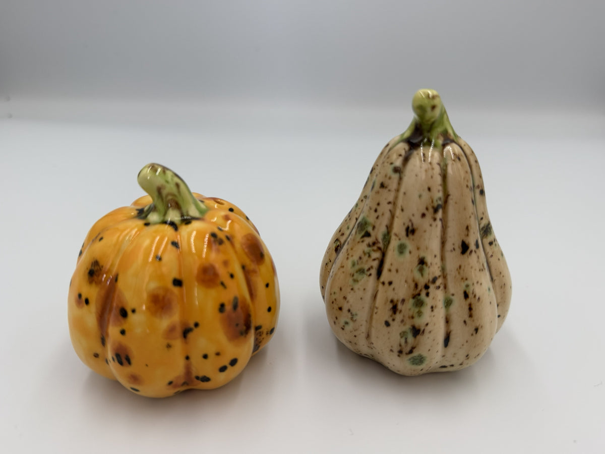 Speckled ceramic pumpkin and gourd salt and pepper shakers with green stems